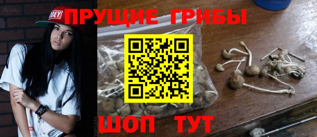 Псилоцибиновые грибы GOLDEN TEACHER  Галлюциногенные грибы Magic Shrooms  Вход с VPN  Екатеринбург 